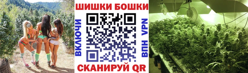 Магазины продажи наркотиков Грозный Cocaine Мефедрон Alpha PVP Конопля