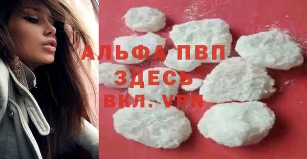 индика Белая Холуница