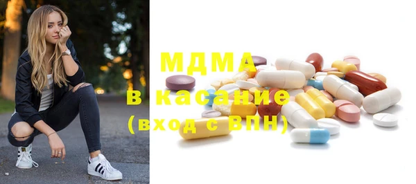 индика Белая Холуница