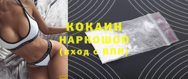 индика Белая Холуница