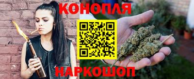 PSILOCYBIN Гатчина