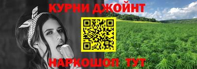 PSILOCYBIN Гатчина