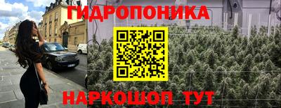 PSILOCYBIN Гатчина