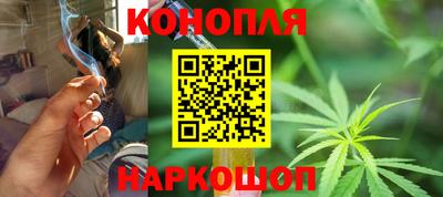 бошки Будённовск