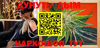 PSILOCYBIN Гатчина