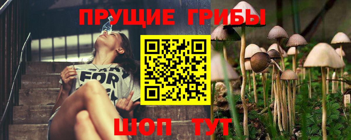 Галлюциногенные грибы Magic Shrooms Грозный