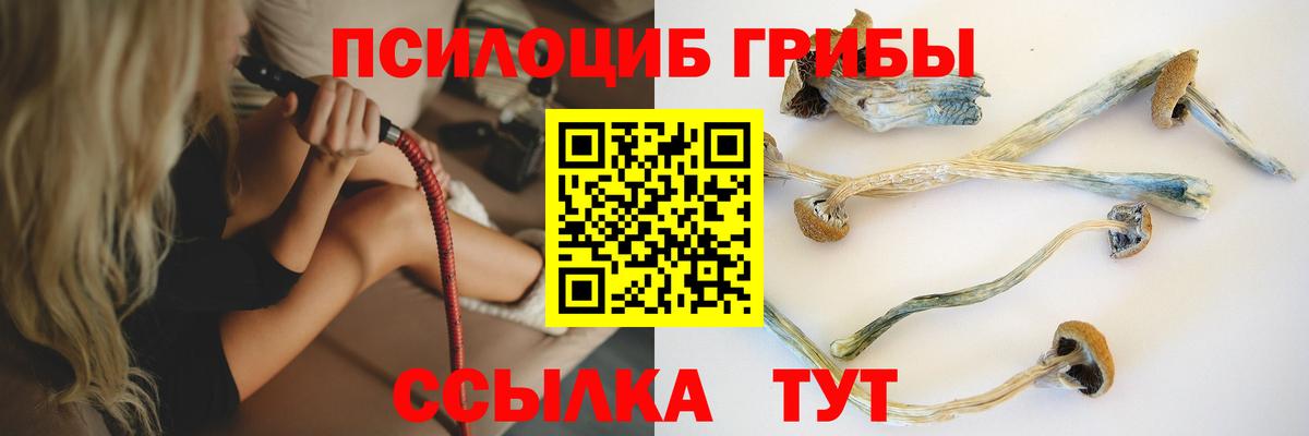 Псилоцибиновые грибы прущие грибы  закладки  Галлюциногенные грибы прущие грибы  Грозный 