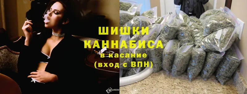 MEGA ссылки  Грозный  Бошки Шишки ГИДРОПОН 